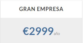 Gran Empresa
